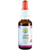 Salvia Paradise Kozlík lékařský - baldrián AF tinktura 30 ml Salvia Paradise Kozlík lékařský - baldrián AF tinktura 30 ml