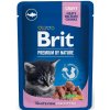 Brit Premium Cat Kitten White Fish 100 g Brit Premium Cat Kitten White Fish 100 g