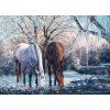 Cobble Hill Winter's Beauty 500XXL 500 dielov