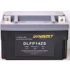 Dynavolt DLFP14ZS