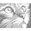 ZUTY Bodkovanie - MAČKA Rámovanie: bez rámu a bez vypnutia plátna, Rozmer: 40x50 cm ZUTY Bodkovanie - MAČKA Rámovanie: bez rámu a bez vypnutia plátna, Rozmer: 40x50 cm