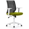 Kancelárska stolička Rocada 907W-6, zelený látkový sedák, čierne sieťované operadlo, biela konštrukcia, nastaviteľné podrúčky Kancelárska stolička Rocada 907W-6, zelený látkový sedák, čierne sieťované operadlo, biela konštrukcia, nastaviteľné podrúčky