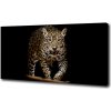 Foto obraz na plátne Jaguár 100x50 cm Foto obraz na plátne Jaguár 100x50 cm