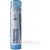 Valeriana Officinalis gra.1 x 4 g 9CH Valeriana Officinalis gra.1 x 4 g 9CH