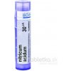Nitricum Acidum gra.1 x 4 g 30CH Nitricum Acidum gra.1 x 4 g 30CH