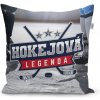 Sablio Vankúš Hokejová legenda 40x40