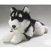 Plyšový husky 40 cm - plyšové hračky Plyšový husky 40 cm - plyšové hračky