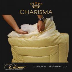 CHARISMA Vankúš so zipsom 70x90 Antialergický