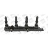 Zapaľovacia cievka BorgWarner (BERU) ZSE149 ZSE149
