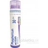 Phosphoricum Acidum gra.1 x 4 g 30CH