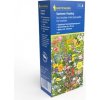Kvetinová zmes SUMMER FEELING 100g Kvetinová zmes SUMMER FEELING 100g