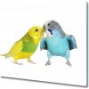 Sklenená doska na krájanie Budgie 60x52 cm Sklenená doska na krájanie Budgie 60x52 cm