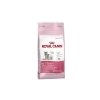 Royal Canin - Feline Kitten 36 2kg Royal Canin - Feline Kitten 36 2kg