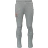 Pánske tepláky Puma, TEAMEVOSTRIPE PANTS Sivá,Červená M Pánske tepláky Puma, TEAMEVOSTRIPE PANTS Sivá,Červená M