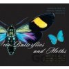100 Butterflies and Moths - MILLER⁄JANZEN⁄HALLWA 100 Butterflies and Moths - MILLER⁄JANZEN⁄HALLWA
