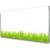 Sklenený obklad Do kuchyne Tráva rastlina príroda 100x50 cm Sklenený obklad Do kuchyne Tráva rastlina príroda 100x50 cm