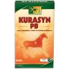 TRM Kurasyn PB Vstrebateľný zdrojKurkumínu a Boswellie 3 x 60 g TRM Kurasyn PB Vstrebateľný zdrojKurkumínu a Boswellie 3 x 60 g