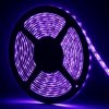 MComp UV Ultrafialový LED pásik 12V 6W IP20 MComp UV Ultrafialový LED pásik 12V 6W IP20