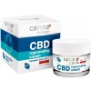 Palacio Cannabellum CBD pleťový regenerační krém 50 ml Palacio Cannabellum CBD pleťový regenerační krém 50 ml