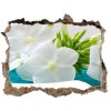 Fototapeta díra na zeď Biele kvety spa 95x64 cm Fototapeta díra na zeď Biele kvety spa 95x64 cm