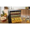 Salente QuickDry, sušička ovocia, nerez, 10 nerezových sušiacich plat Salente QuickDry, sušička ovocia, nerez, 10 nerezových sušiacich plat