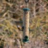CJ Wildlife Kŕmidlo pre vtáky 35 cm plast