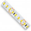 LED PÁSIK 12V 12W 2000LM 8MM 160LED/M CRI>80 NEUTRÁLNA BIELA 4000K 5M LED PÁSIK 12V 12W 2000LM 8MM 160LED/M CRI>80 NEUTRÁLNA BIELA 4000K 5M