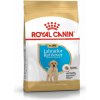 ROYAL CANIN Labradorský retriever junior 12kg + prekvapenie pre vášho psa ROYAL CANIN Labradorský retriever junior 12kg + prekvapenie pre vášho psa