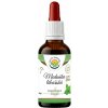 Salvia Paradise Medovka lekárska AF tinktúra 50ml Salvia Paradise Medovka lekárska AF tinktúra 50ml