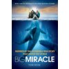 Big Miracle, Film Tie-In (Tom Rose)(Brožovaná) Big Miracle, Film Tie-In (Tom Rose)(Brožovaná)