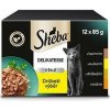 Sheba kapsička Delikatesse hydinový výber 12x85g Sheba kapsička Delikatesse hydinový výber 12x85g