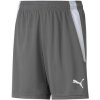 Puma Šortky/Bermudy Teamliga Jr Šedá