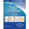 Spear's Surgery of the Breast (Allen Gabriel,Maurice Y. Nahabedian,G. Patrick Maxwell)(Pevná) Spear's Surgery of the Breast (Allen Gabriel,Maurice Y. Nahabedian,G. Patrick Maxwell)(Pevná)