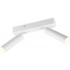 Trio T849210231 LED bodové stropné svietidlo AMBALA integrovaný LED zdroj | 2x500lm | 2300+3000+4000K Trio T849210231 LED bodové stropné svietidlo AMBALA integrovaný LED zdroj | 2x500lm | 2300+3000+4000K