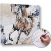 Maľovanie podľa čísel KONE – stredná náročnosť 50x50 cm - na ráme (Sada na maľovanie podľa čísel ARTMIE) Maľovanie podľa čísel KONE – stredná náročnosť 50x50 cm - na ráme (Sada na maľovanie podľa čísel ARTMIE)