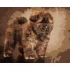 zuty Zuty - Maľovanie Podľa Čísel - Šteniatko Chow Chow, 40X50 Cm, Plátno+Rám (8596530137658) zuty Zuty - Maľovanie Podľa Čísel - Šteniatko Chow Chow, 40X50 Cm, Plátno+Rám (8596530137658)