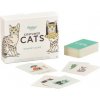 Costume Cats Memory Game Costume Cats Memory Game
