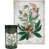 Interdruk Botanické čemeřice 1000 dielov