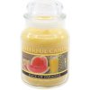 Cheerful Candle SLICE OF PARADISE 170 g