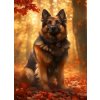 NORIMPEX Diamantové maľovanie Nemecký ovčiak 30 x 40 cm NORIMPEX Diamantové maľovanie Nemecký ovčiak 30 x 40 cm