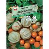 Sperli andské bobule Inca švestka Physalis peruviana Sperli andské bobule Inca švestka Physalis peruviana