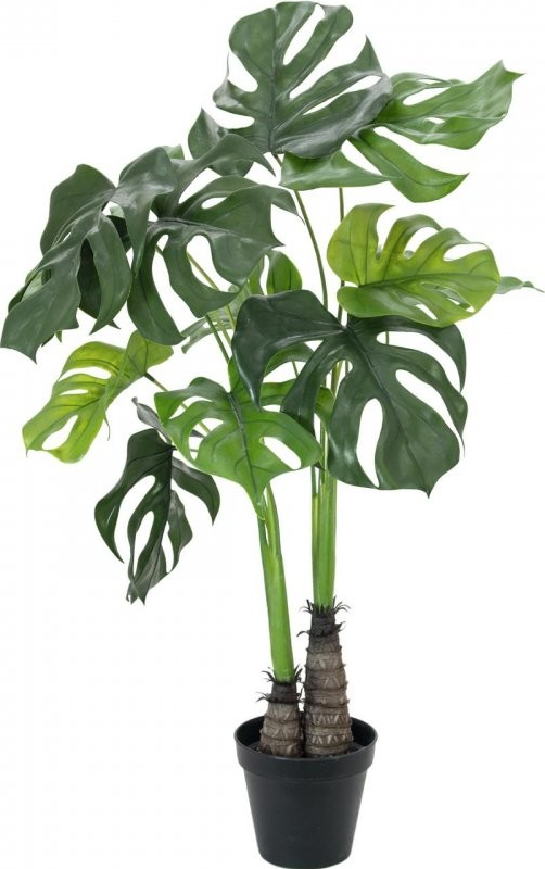 Umělá palma Monstera deliciosa - 2 kmeny, 90cm