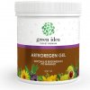 Green Idea Artroregen masážny gél 250 ml