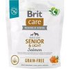 Brit Care dog Grain-free Senior & Light 1 kg Brit Care dog Grain-free Senior & Light 1 kg