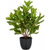 Umelá rastlina Epipremnum v kvetináči, 40cm Umelá rastlina Epipremnum v kvetináči, 40cm