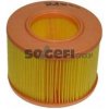 PURFLUX VZDUCHOVÝ FILTER RENAULT 1,9D PURFLUX PURFLUX VZDUCHOVÝ FILTER RENAULT 1,9D PURFLUX