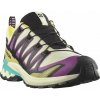 Salomon XA Pro 3D V9 GTX Transparent Yellow Black Waterfall
