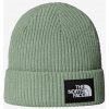 Zimná čiapka The North Face Salty Lined Beanie - slate moss Zimná čiapka The North Face Salty Lined Beanie - slate moss
