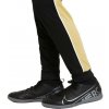 Nike NK Df Academy Trk Pnt Kp FPp Jb CZ0973 011
