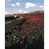 zuty Zuty - Maľovanie Podľa Čísel - Vlčie Máky V Poli (Pál Szinyei Merse), 80X100 Cm, Plátno (8596530100782) zuty Zuty - Maľovanie Podľa Čísel - Vlčie Máky V Poli (Pál Szinyei Merse), 80X100 Cm, Plátno (8596530100782)